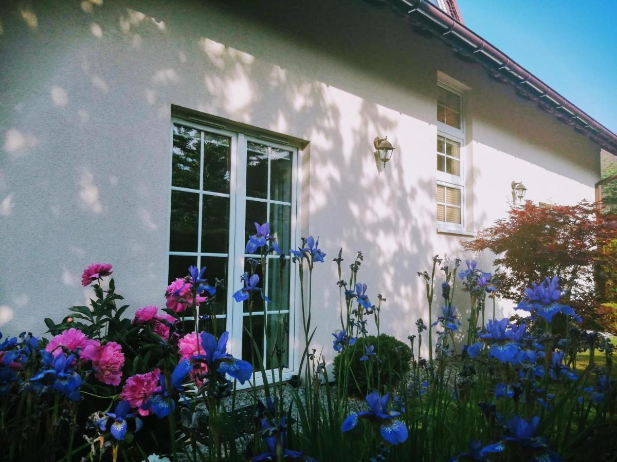 Molonowka Guest House Szczyrk Exterior photo